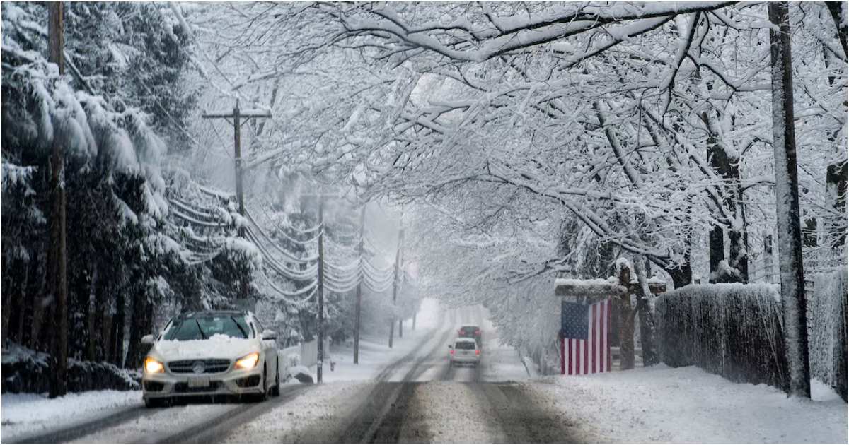 নিউ জার্সির আলপাইনের ক্লস্টার ডক রোডে ২০২৪ সালের ১৩ ফেব্রুয়ারি তুষারপাতের মধ্যে গাড়ি চলাচল। ছবি: রয়টার্স